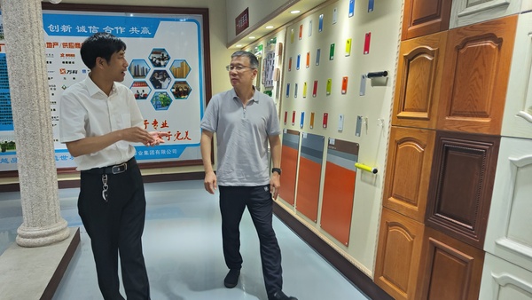 啄木鸟漆业集团 软瓷 内外墙涂料